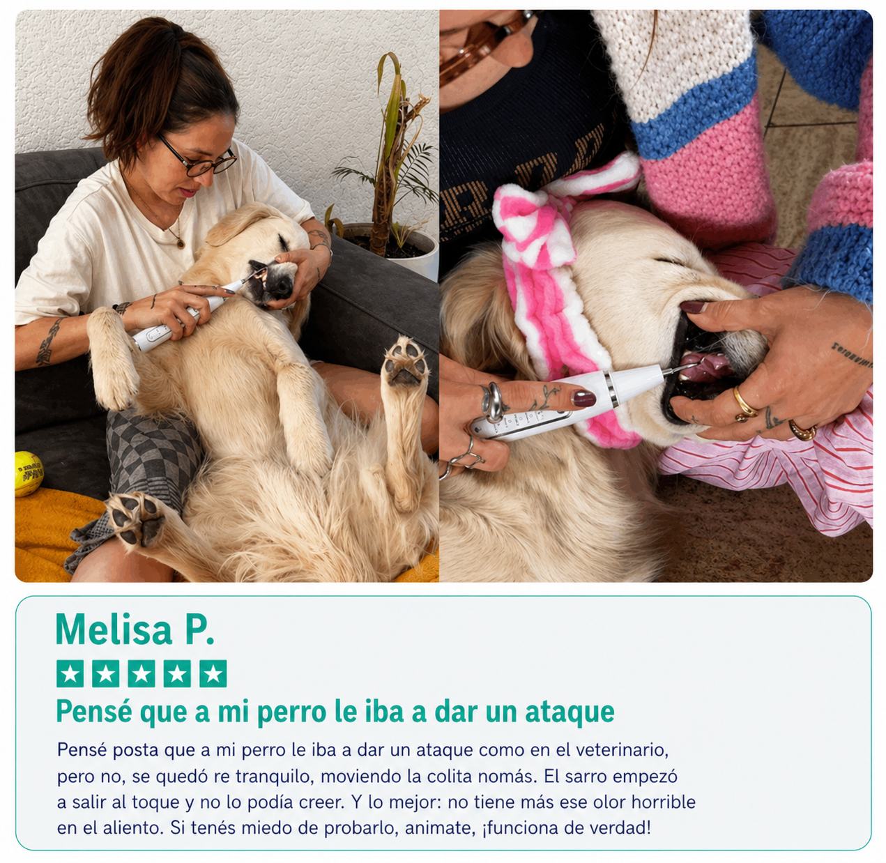 Kit Sonrisa Canina | Removedor Ultrasónico de Sarro