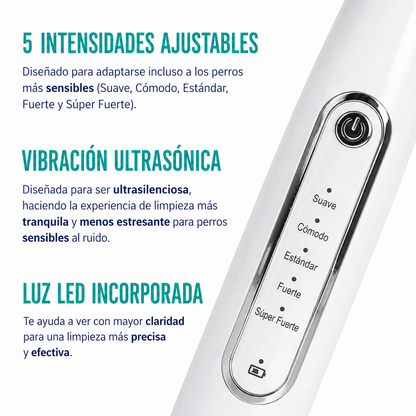 Kit Sonrisa Canina | Removedor Ultrasónico de Sarro