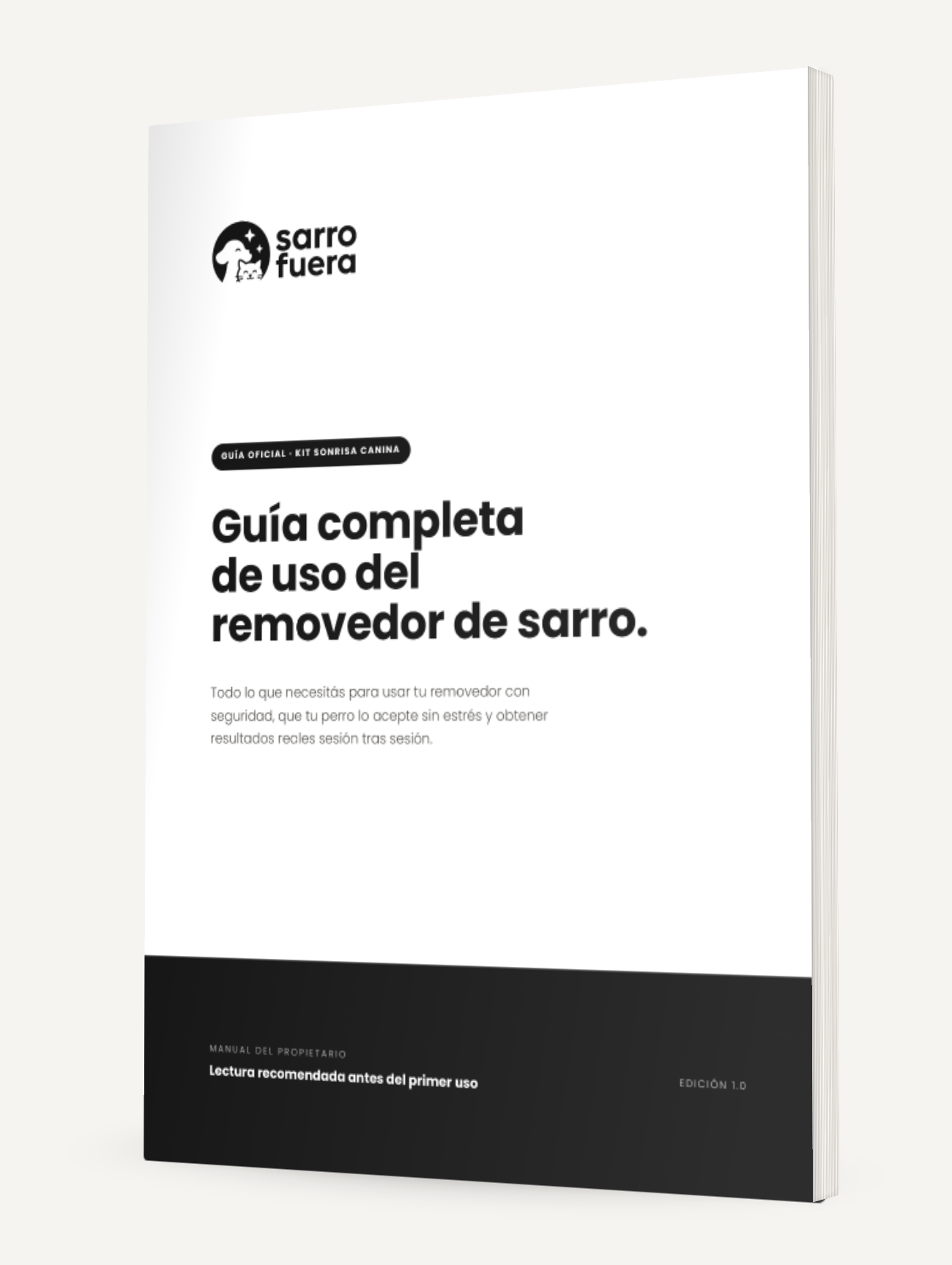 Guía de Uso Profesional (E-book)