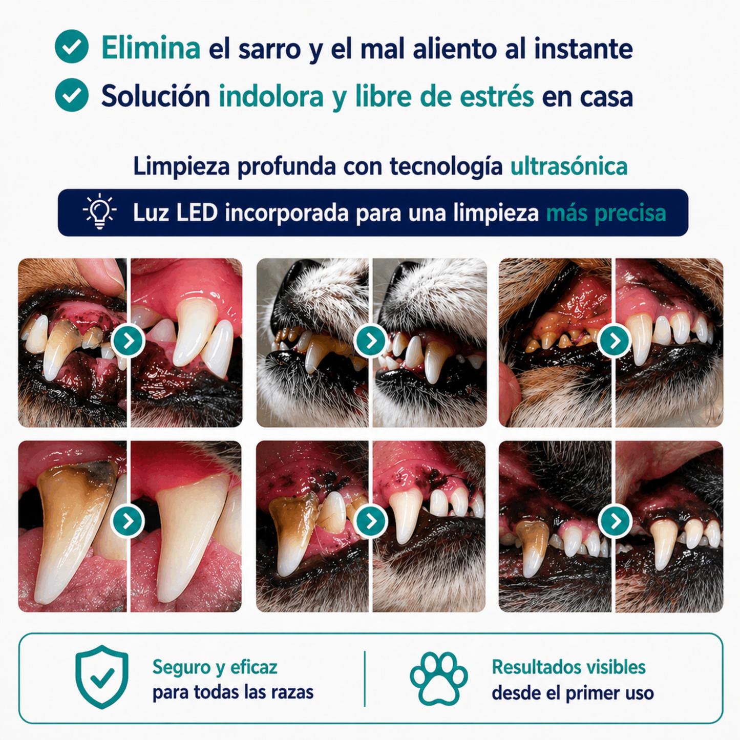 Kit Sonrisa Canina | Removedor Ultrasónico de Sarro