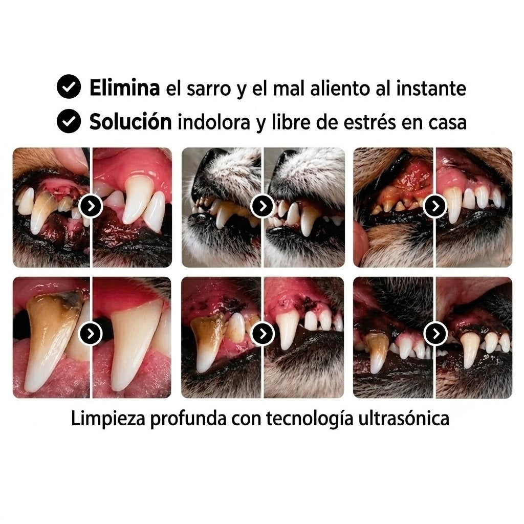 Kit Sonrisa Canina