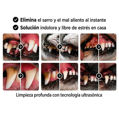 Kit Sonrisa Canina