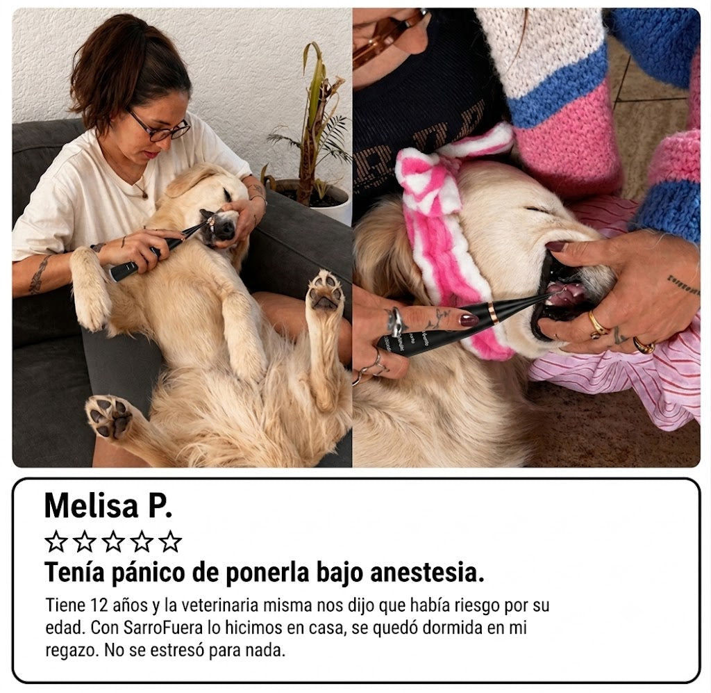 Kit Sonrisa Canina