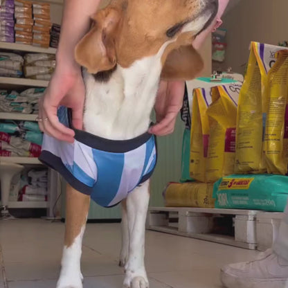 Musculosa de Argentina Para Mascotas