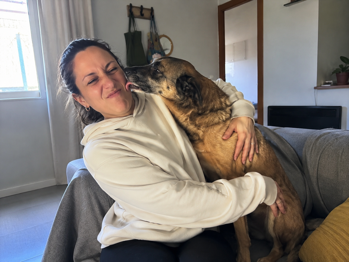 Porque estaban cansados de taparse la nariz cada vez que su perro se les acercaba.